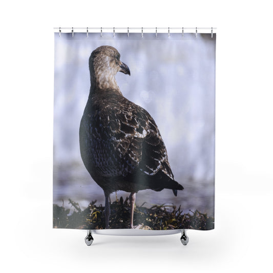 Grand Gull Shower Curtain
