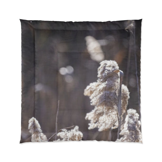 Schloofs Comforter
