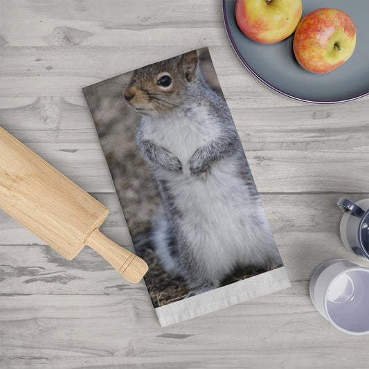 Squirrel! Kitchen/Tea Towel